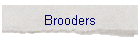 Brooders