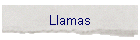 Llamas