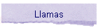 Llamas