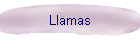 Llamas