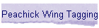 Peachick Wing Tagging