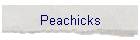 Peachicks