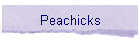 Peachicks