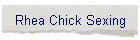 Rhea Chick Sexing