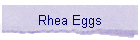 Rhea Eggs