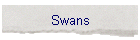 Swans