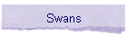 Swans