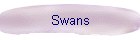 Swans