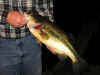 Lake_Webster_largemouth_bass_closeup_0907.jpg (95472 bytes)